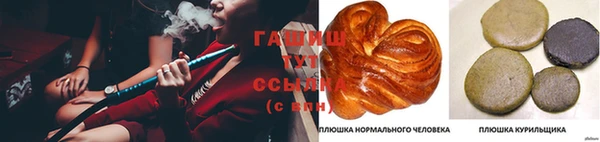 герыч Алексин
