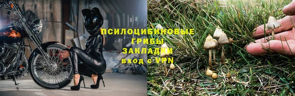 молекула духа Алексеевка