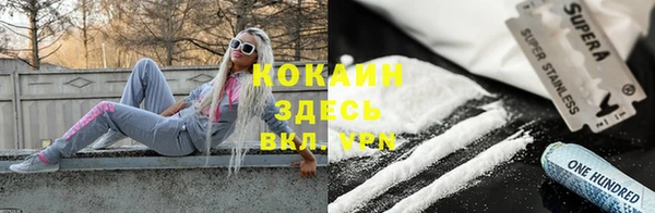 молекула духа Алексеевка