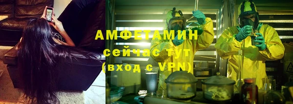 трава Абаза
