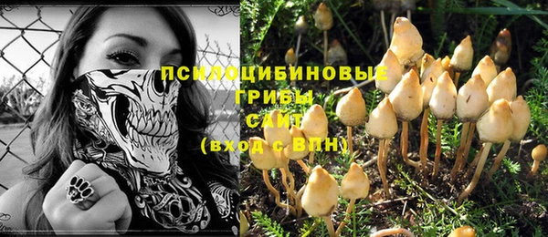 герыч Алексин