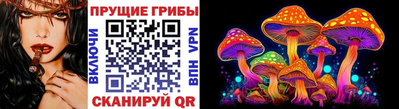 Галлюциногенные грибы GOLDEN TEACHER  Райчихинск 